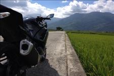 尋找池上米的故鄉